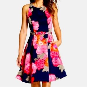 Eliza J. Floral Fit and Flare Cocktail Dress. Size 10